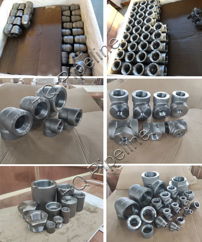 SS304/316L Weld Olet Forged Steel Pipe Fittings in 2000lbs 3000lbs 6000lbs