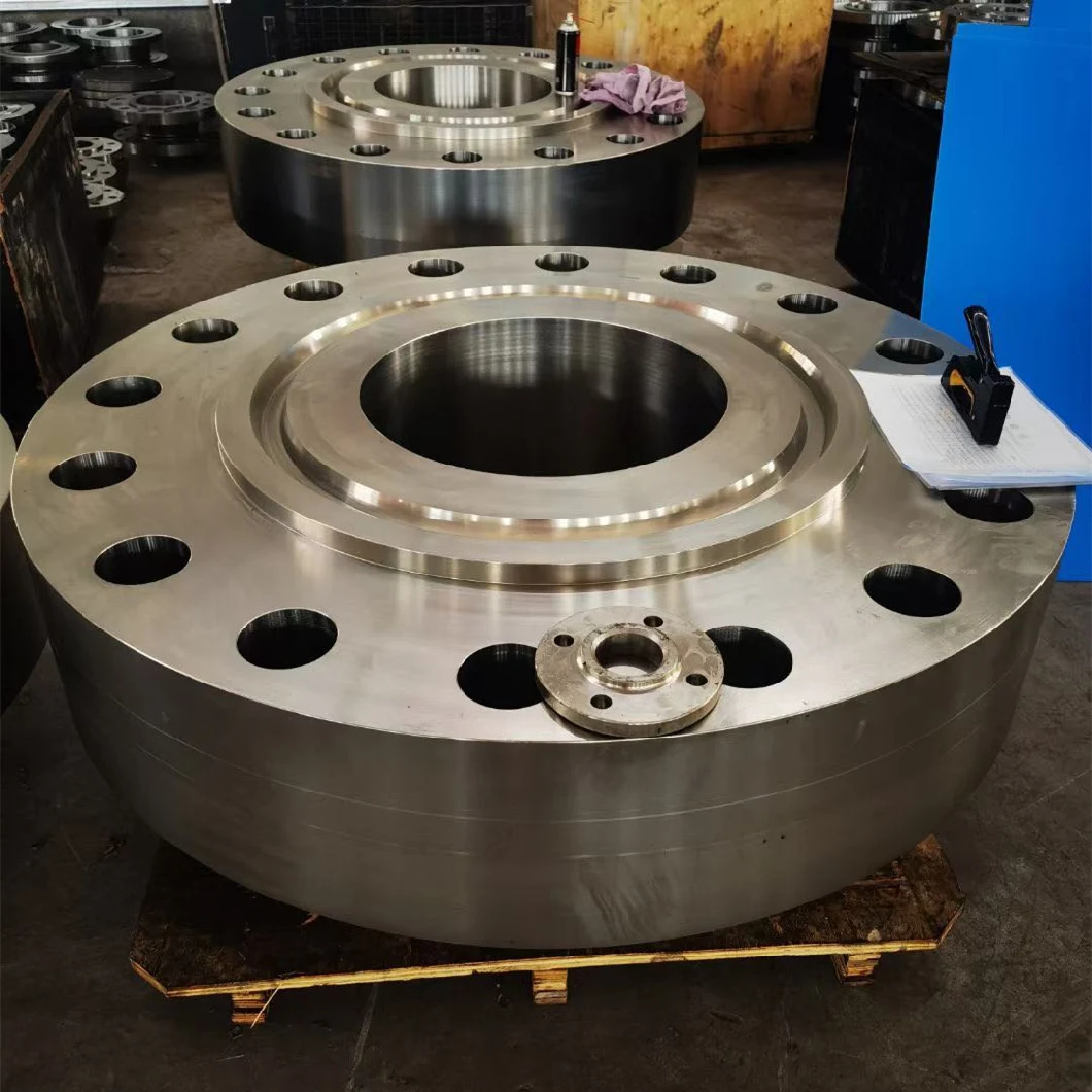 Forged Carbon/Stainless Steel Welding Neck/Blind/Slip on/Lap Joint/Flat Plate/Socket RF/FF Pipe Flanges