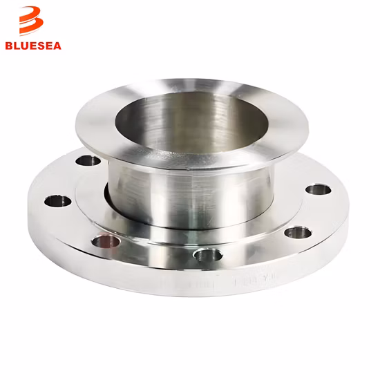 랩 조인트가 있는 ASTM B16.5 스테인리스강 단조 플랜지