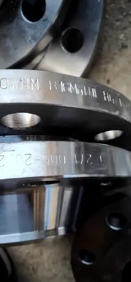 ASME/ANSI/DIN/GOST/BS En RF/FF/Rtj 150#-2500# 탄소강/스테인리스강/합금강 단조 Wn/So/스레드/플레이트/부싱/블라인드 플랜지